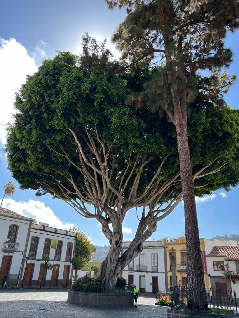 Casa En Teror Centrica Turismo De Ciudad Y Bosques Apartment Bagian luar foto